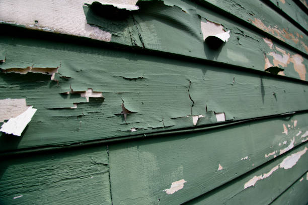 Best Residential Junk Removal  in Captain Cook, HI